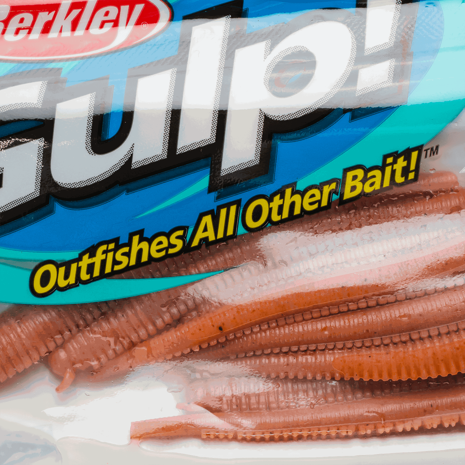 Gulp Sw Fat Hollow Sandworm 4