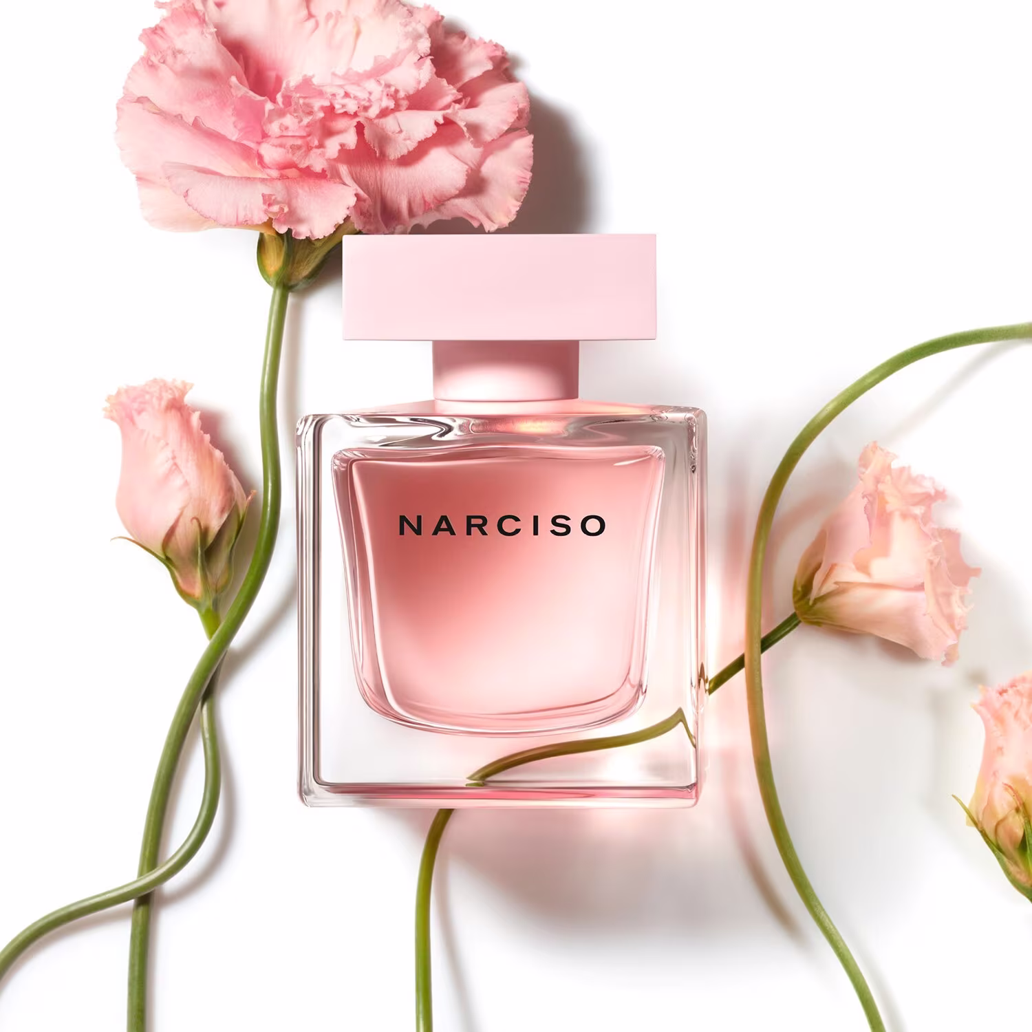 NARCISO Cristal Eau de Parfum – Geschenkbox