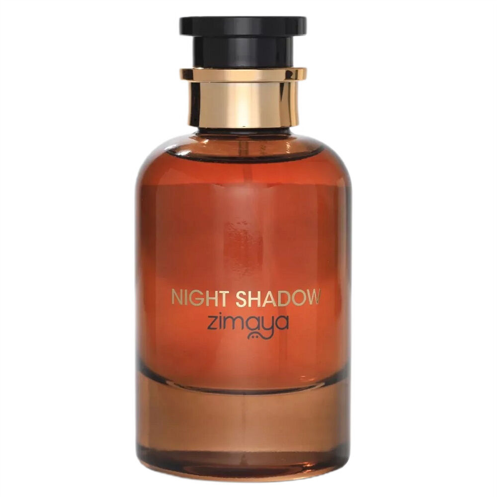 Winter Night Shadow