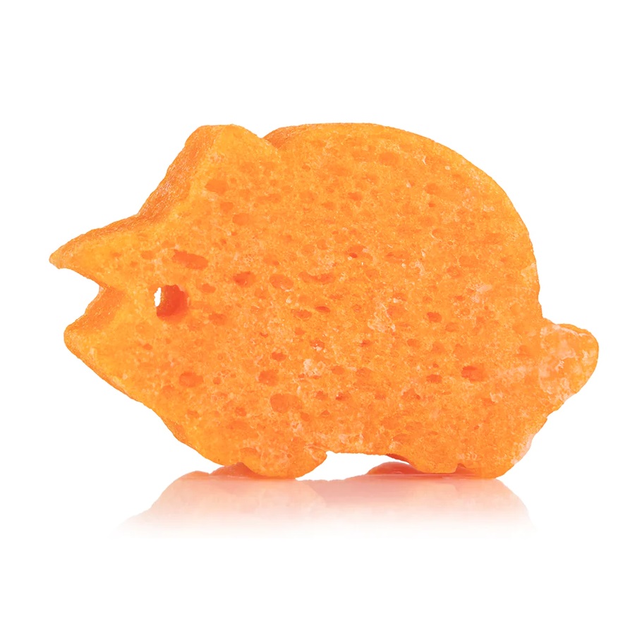 Spongelle Spongesaurus-kokoelma