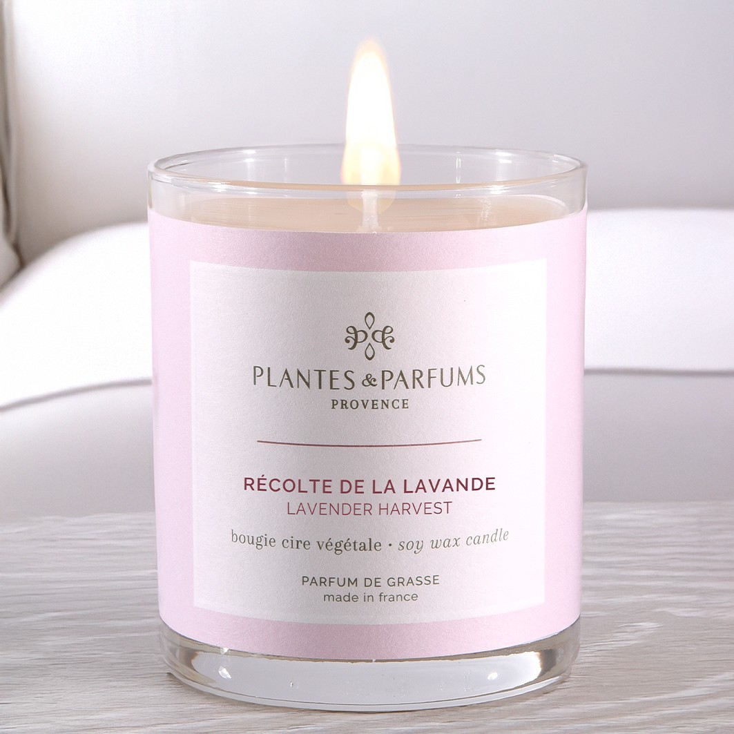 Plantes & Parfums Récolte de la Lavande