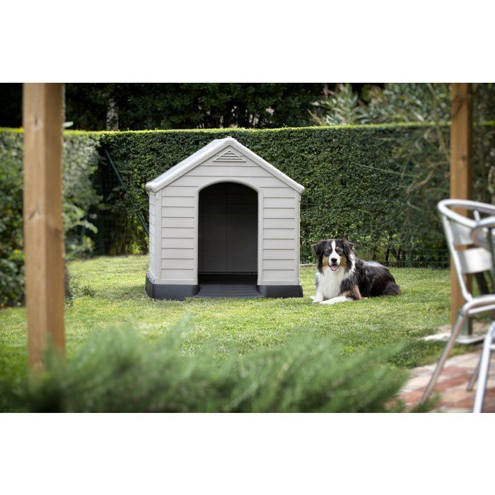 Niche pour chien - CURVER - Polypropylène - Etanche & traité anti-UV - 95 x 99 x 99 cm - Gris