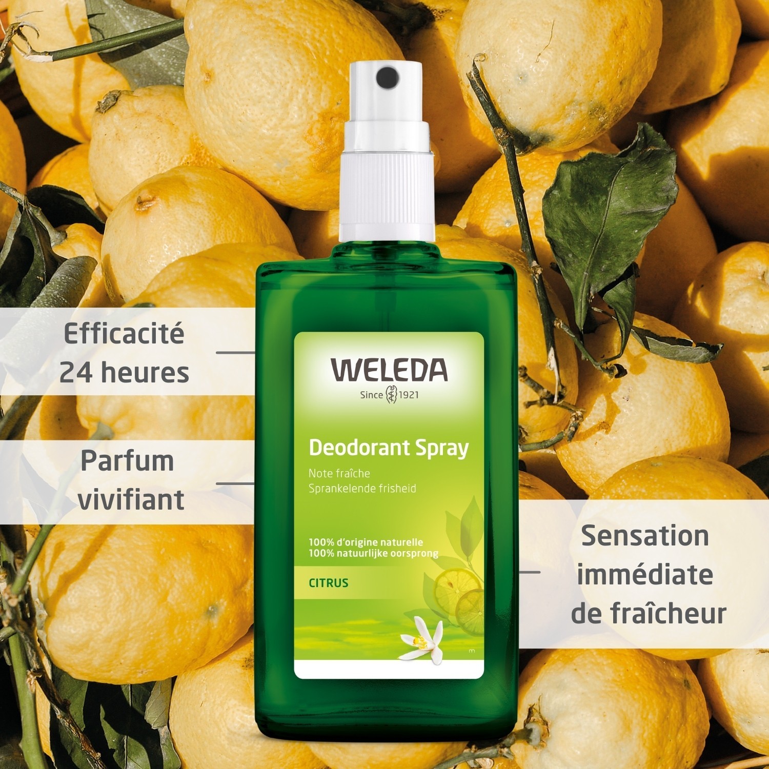 Weleda Déodorant spray Citrus