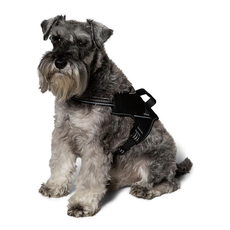 Zoozaker hundesele 45 cm, med håndtak