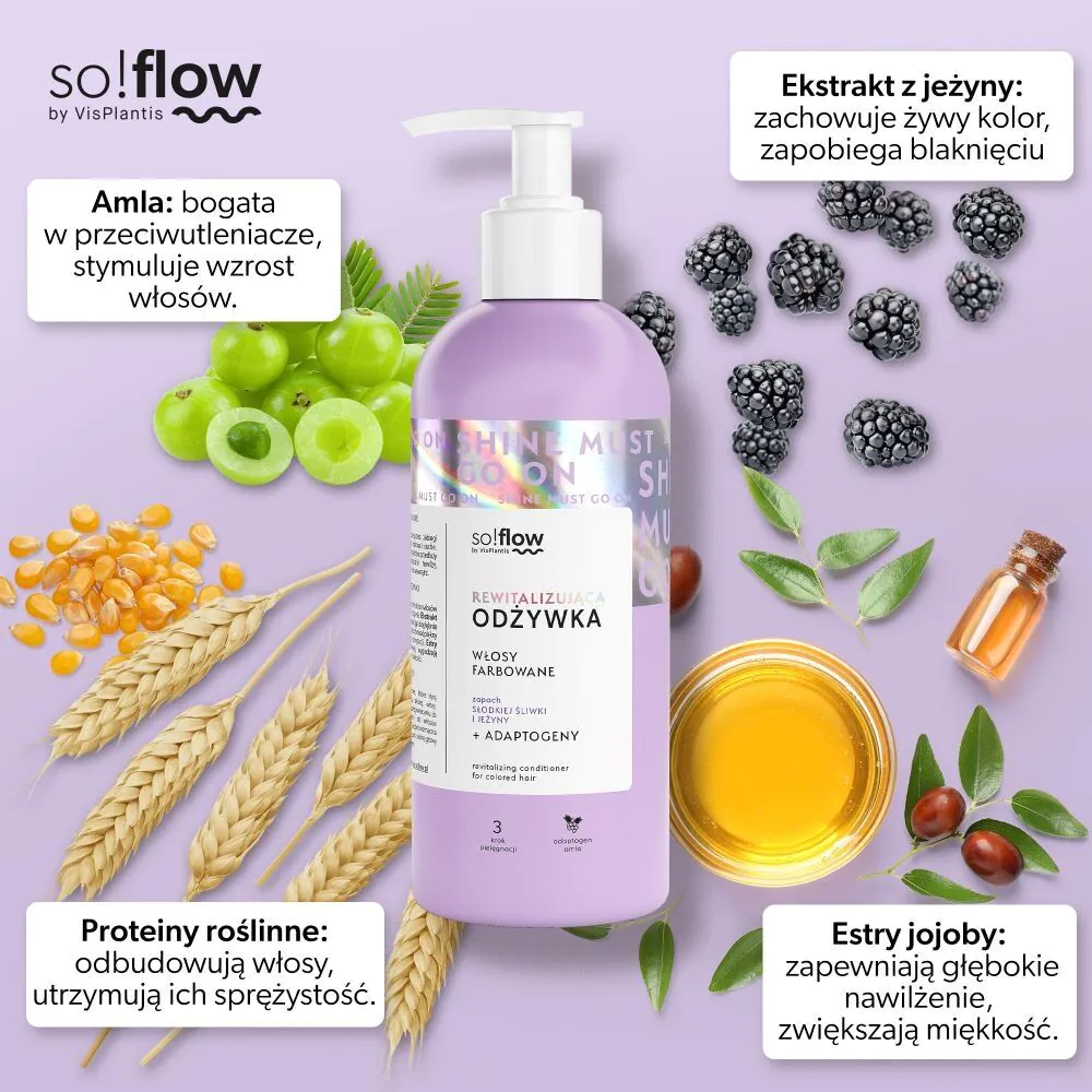So!Flow Rewitalizująca Odżywka do włosów Farbowanych