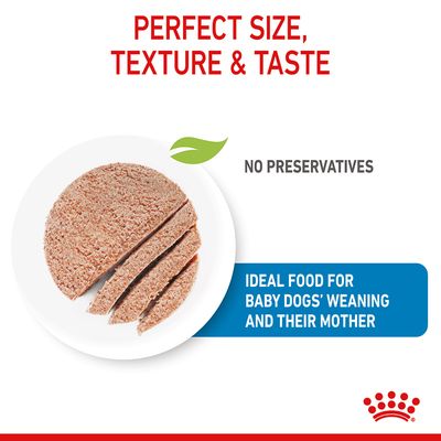Royal Canin Mousse Inicial para Mães e Filhotes