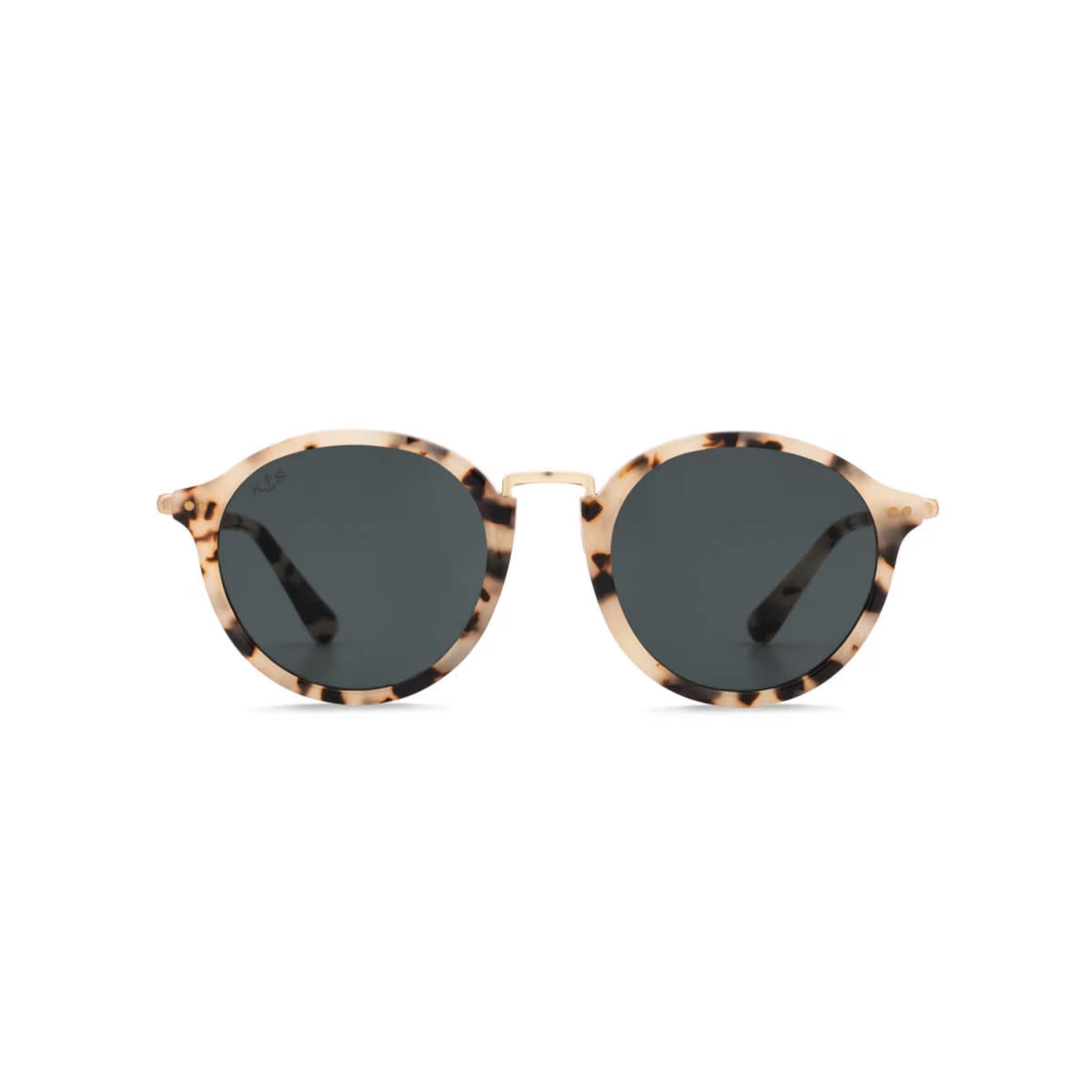 Tortue des sables de Maui noire
