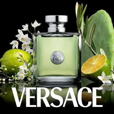 Versace Versense Eau de Toilette 100 ml 100 ml