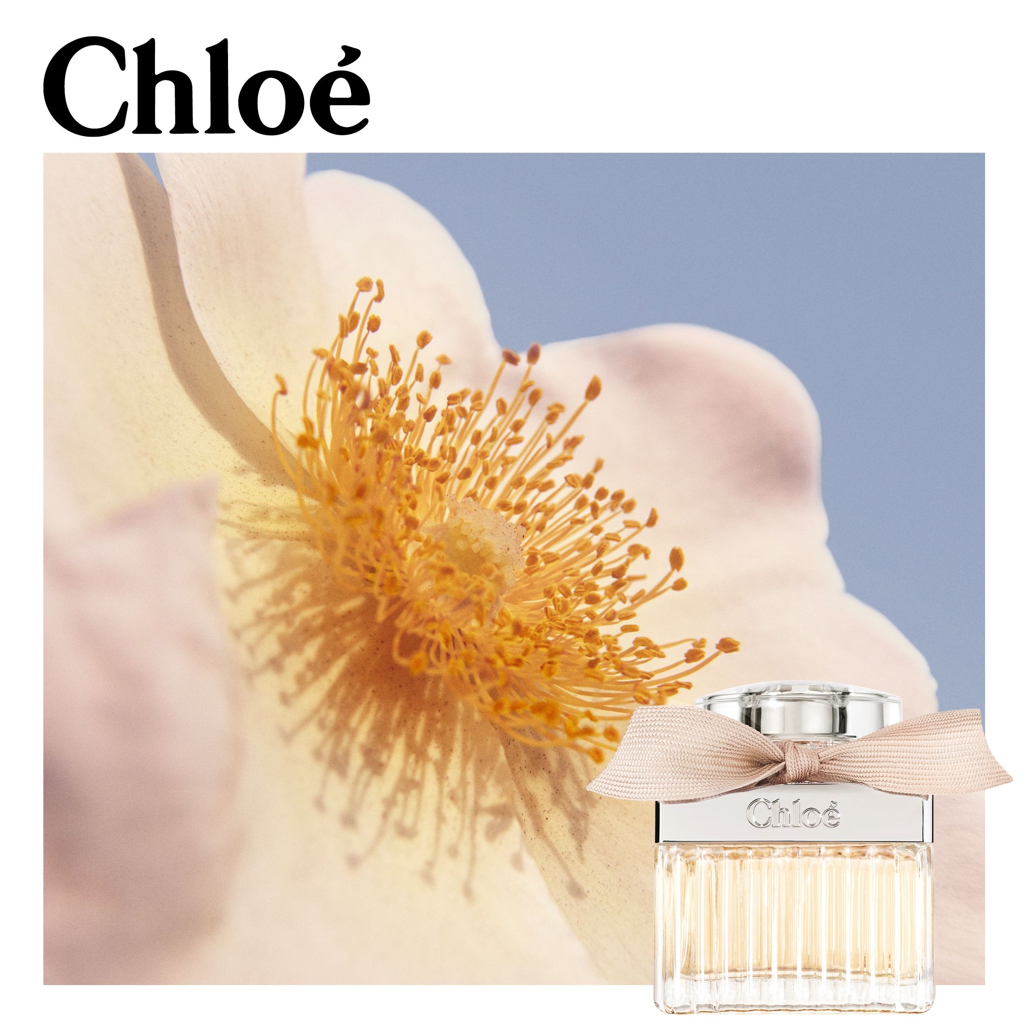 Signature Eau de Parfum Ženski parfemi