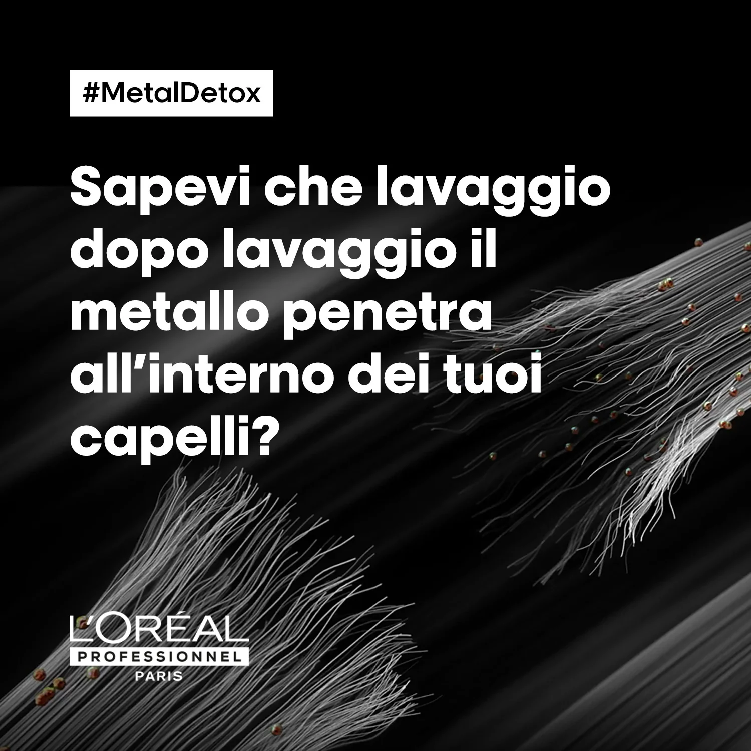SERIE EXPERT New Metal Detox Huile Concentrée - Olio Capelli Styling & Finish