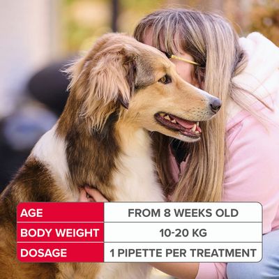 beaphar FIPROtec® Vlooien- en tekenmiddel voor honden - Maat M (10-20 kg)