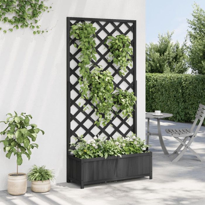 vidaXL Jardinière avec Treillis, Lit Surélevé, Bac à Fleurs, Pot de Plantes, Boîte à Fleurs Jardin Patio Terrasse, Noir Bois 365481
