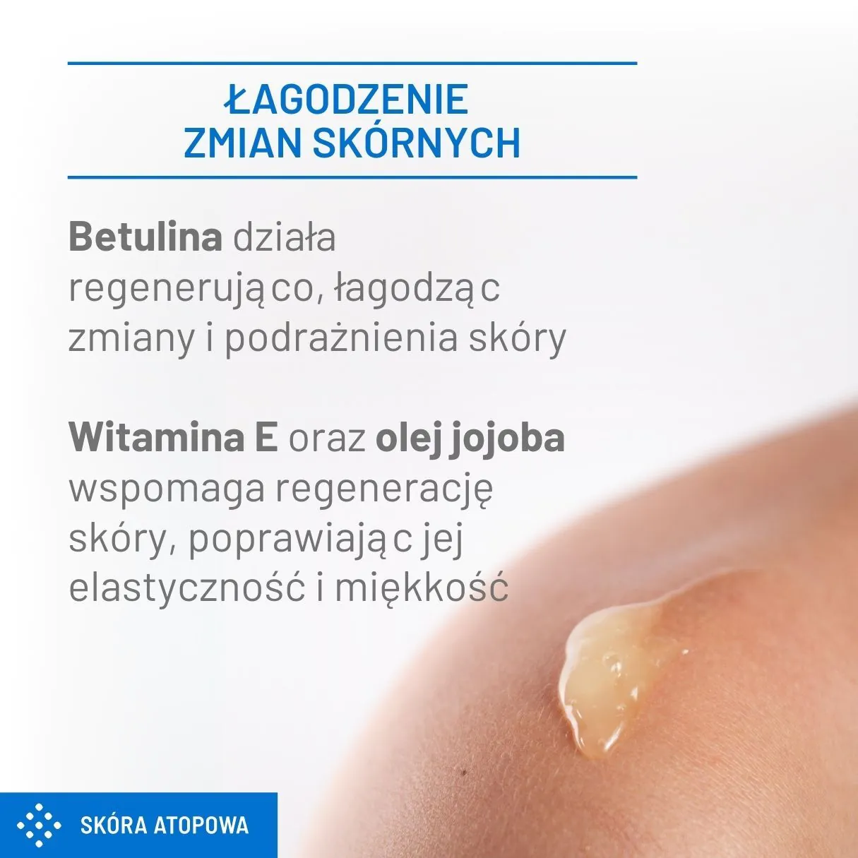 Sylveco Dermo Maść lanolinowa