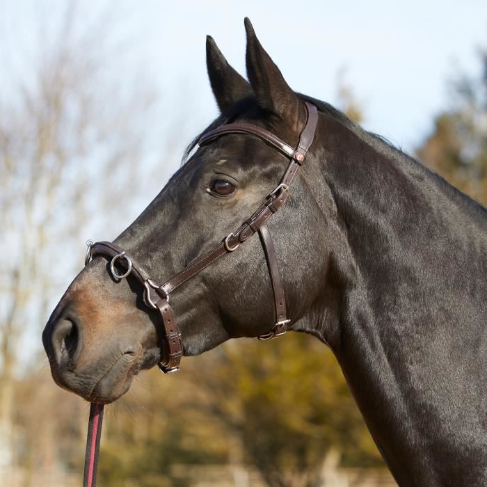 Cabezada Kieffer Ultrasoft® para caballos de trabajo a la cuerda - marrón - Cob