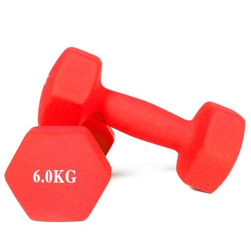 Neopreen gecoate dumbbells (set van 2) 6 kg Gladiatorfit