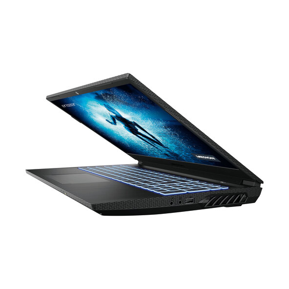 Φορητός υπολογιστής Core-Gaming Deputy P25 (MD64015)