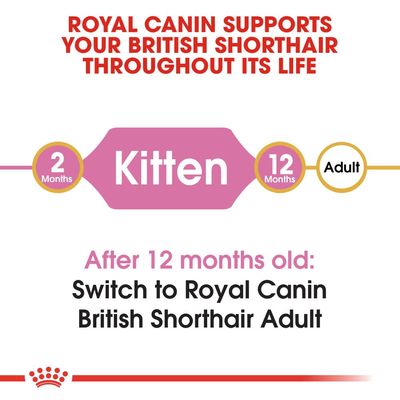 Royal Canin Britisk korthår kattunge