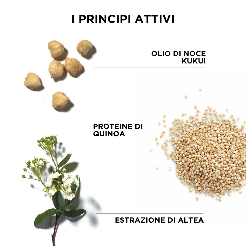 Tratamiento de champú antifrizz Phytodefrisant de PHYTO