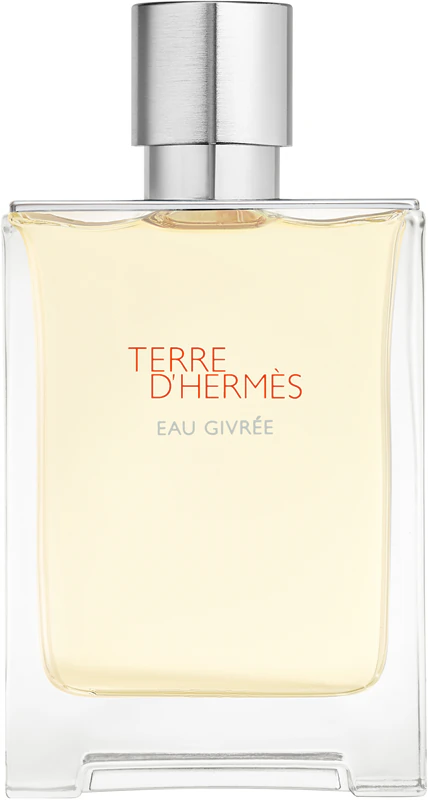 HermÈS Terre d'Hermès Eau Givrée parfumovaná voda pánsky plniteľný flakón