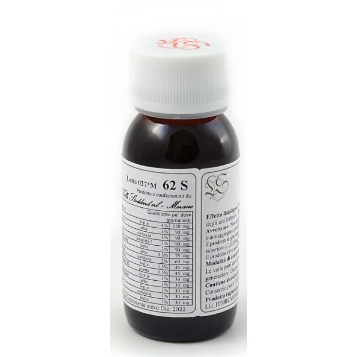 LVS Lvs 62S Ginkgo Biloba Comp