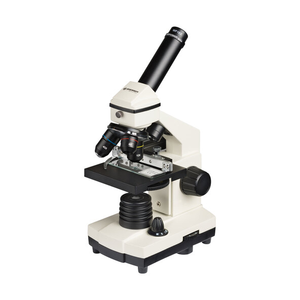 Microscop Biolux NV