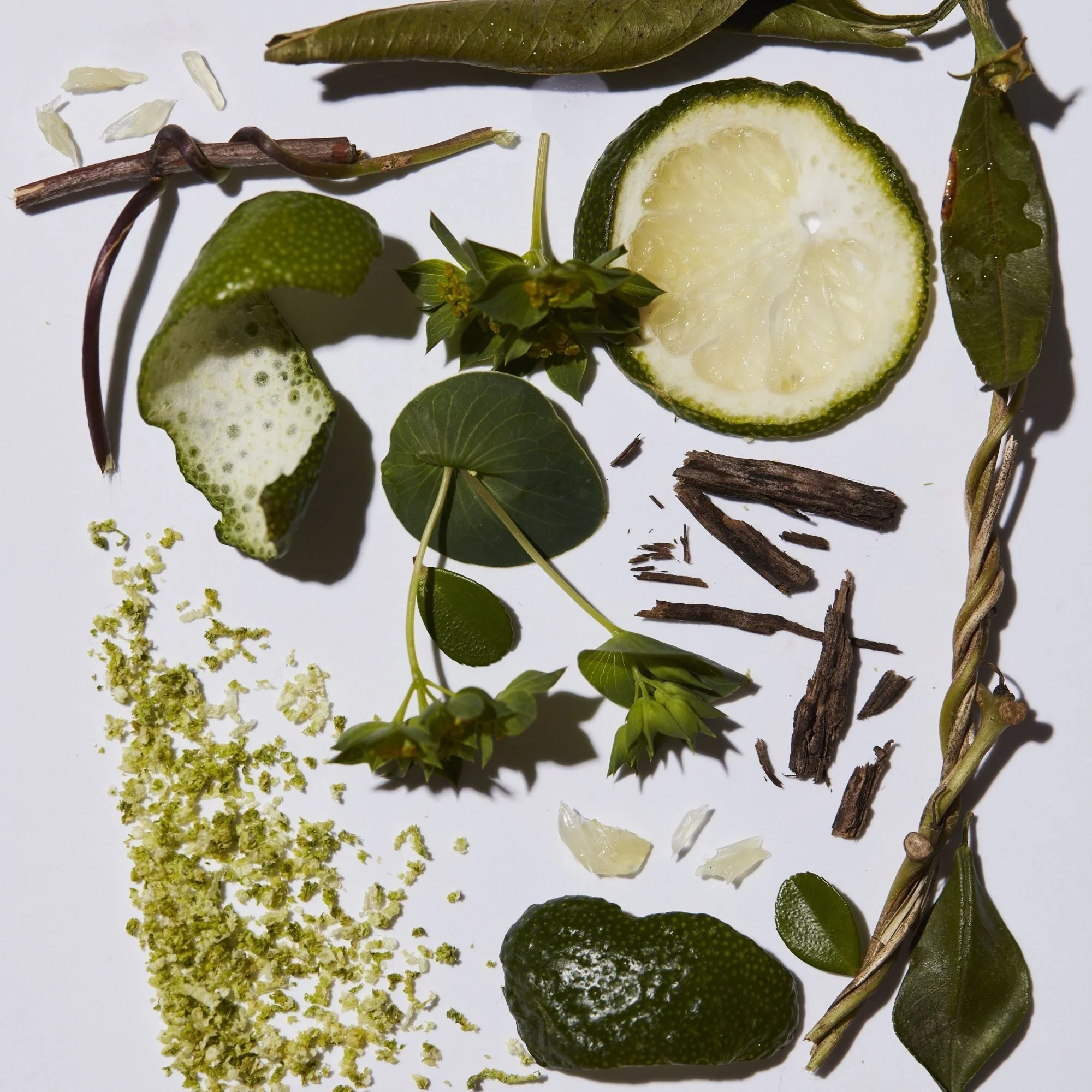 Fragrance Bergamot eau de parfum - Eau de Parfum Unisex, Eau de Parfum