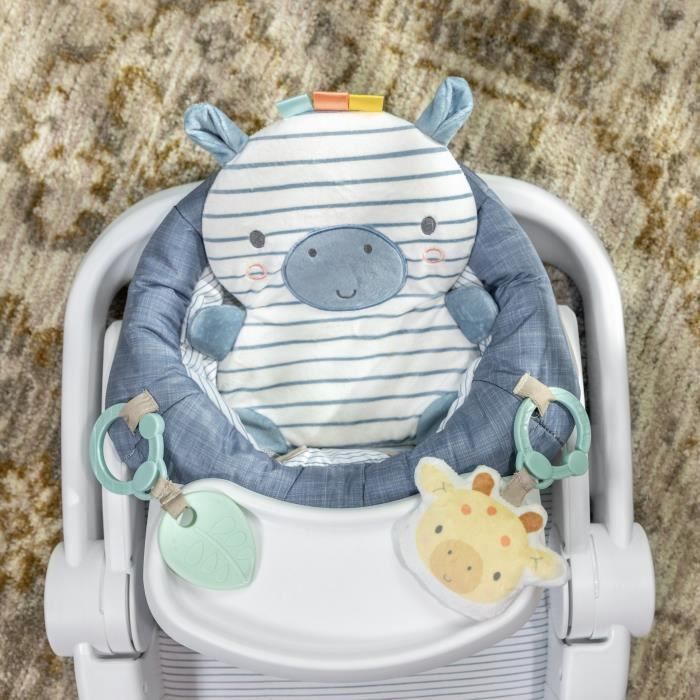 INGENUITY Casi de Zebra, Baby Leerstoel - biedt ondersteuning voor de baby, babycadeau