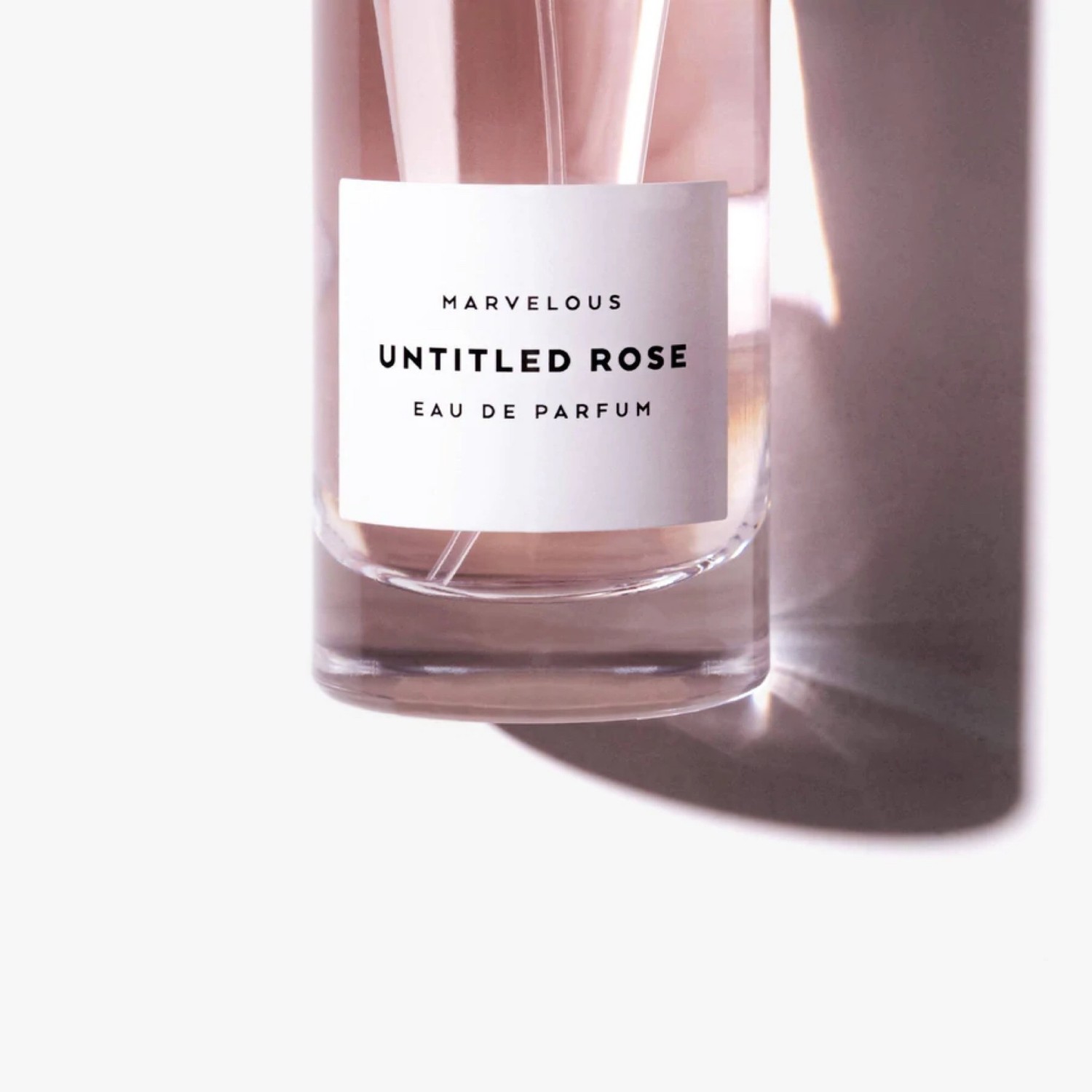 BMRVLS Rose sans titre