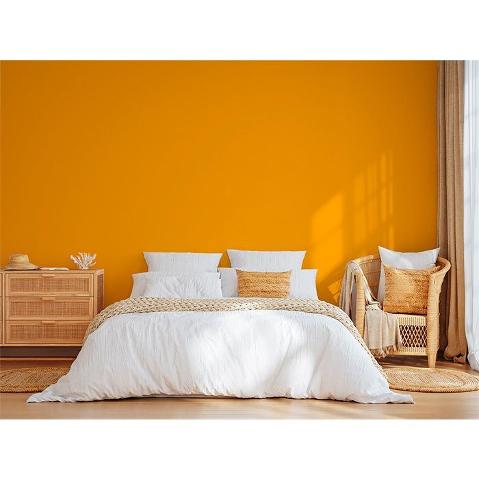 PEINTURE Teinte Jaune Soleil naturelle écologique intérieur extérieur aspect velours Natura - 2.5L - 33m