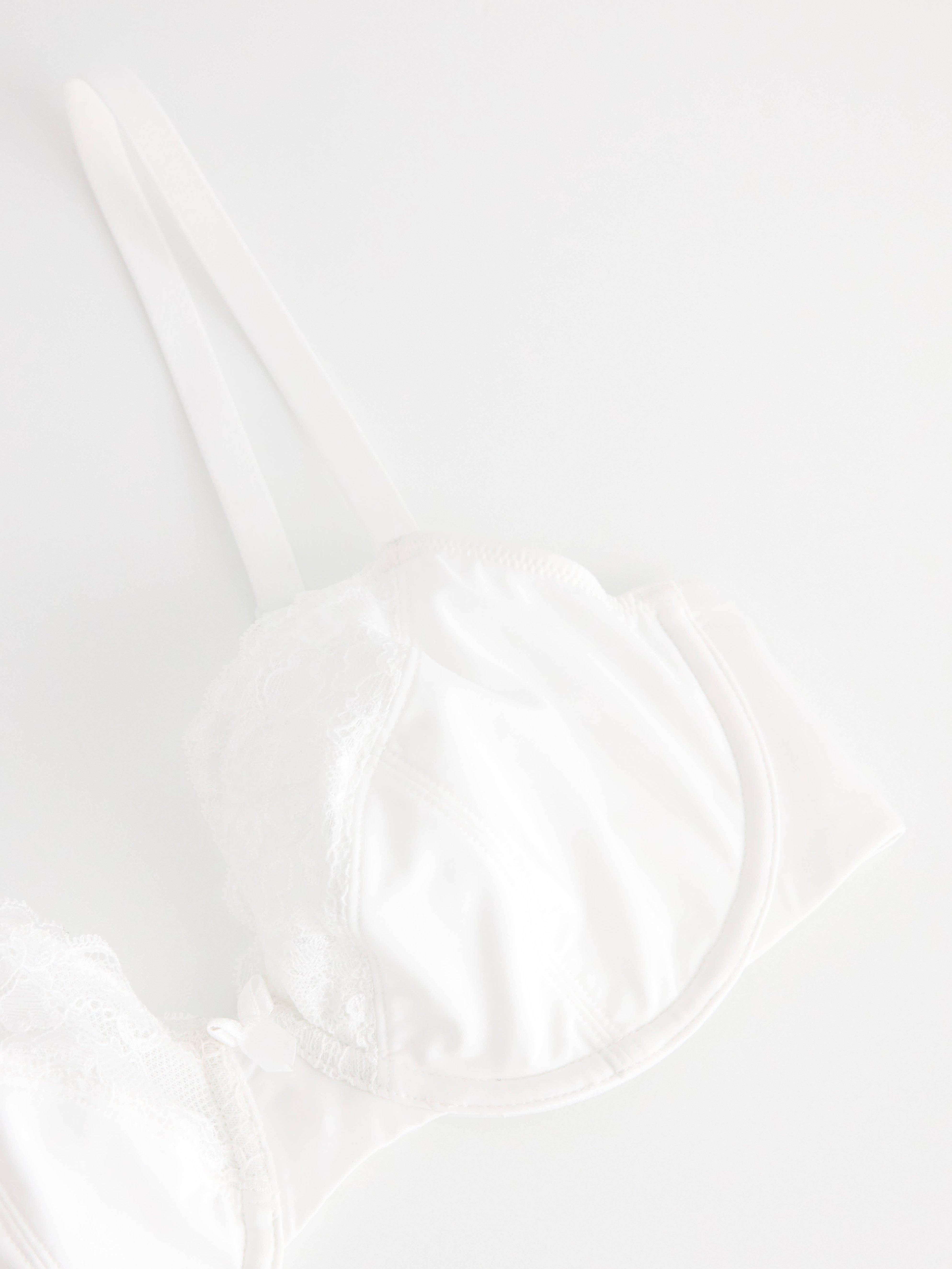 Aster ovadderad bh Blanco