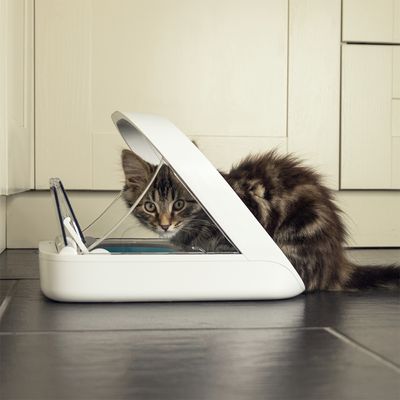 Alimentador automático SureFeed para animais de estimação com microchip
