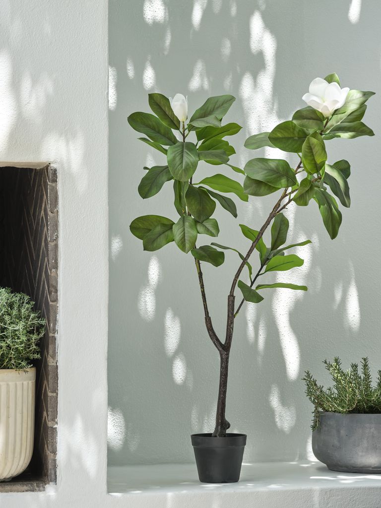 VRETENO Vještačka biljka ŠPINDEL V120cm magnolija