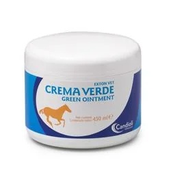 CANDIOLI Grüne Creme 450 ml