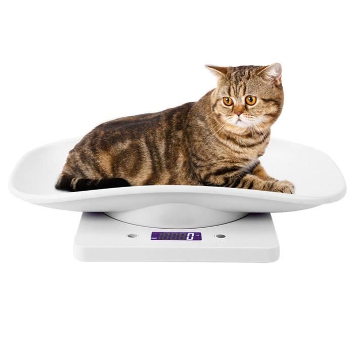 Pèse-bébé numérique pour animaux de compagnie - ESTINK - 10kg / 1g - Blanc