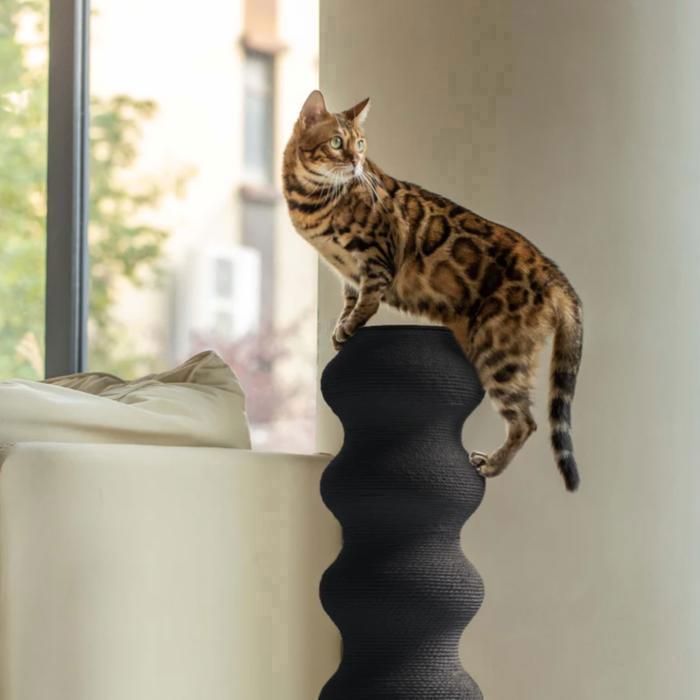 FurryTail  Griffoir incurvé pour chat, Arbre à chat, Fabriqué en rotin, résistant à l'usure, design distinctif, 89cm Noir