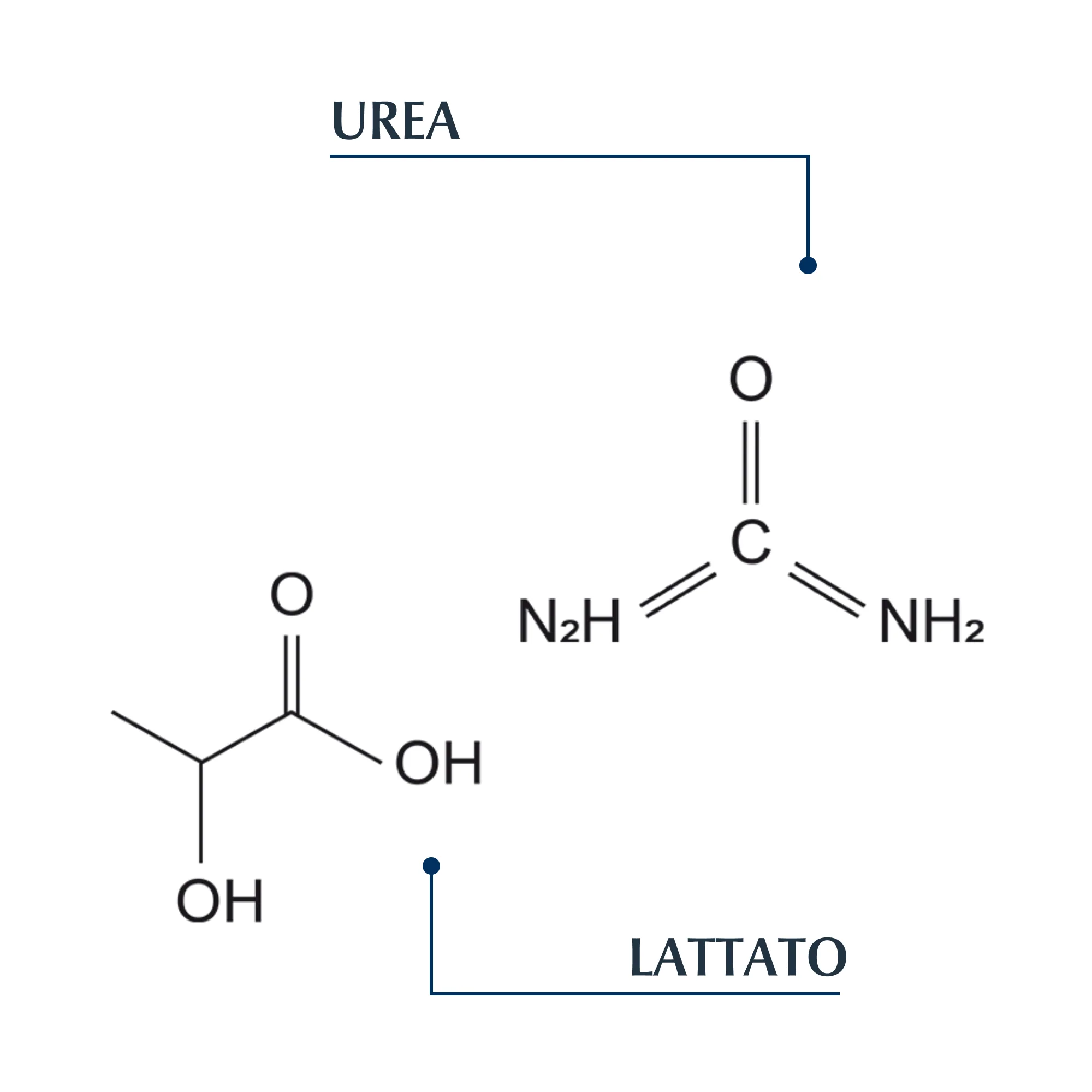 DermoCapillaire DermoCapillaire Shampoo Lenitivo all'Urea - Shampoo Delicato, Trattamento Cuoio Capelluto