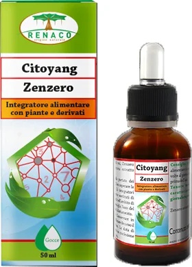 CITOYANG Gouttes de gingembre Citoyang 50 ml