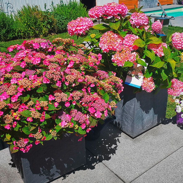 Vulkan planter 40, 35 l