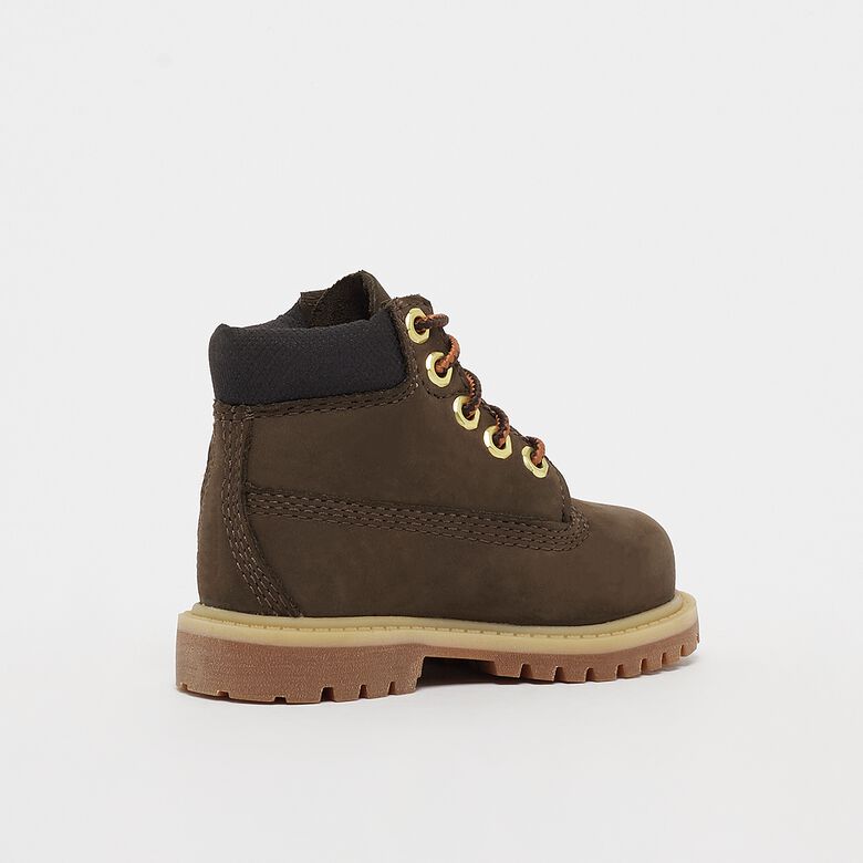 6 en Premium WP Boot (TD)