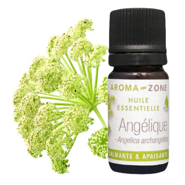 etherische olie van de aartsengel (Angelica archangelica) 2 ml