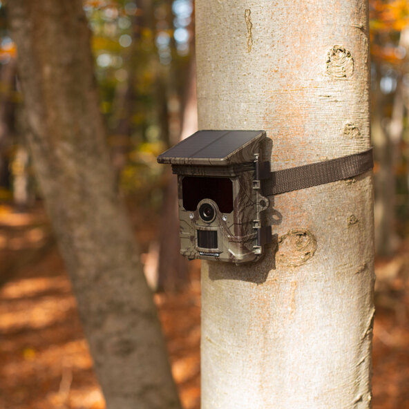 Wildlife camera WK-7HDSP