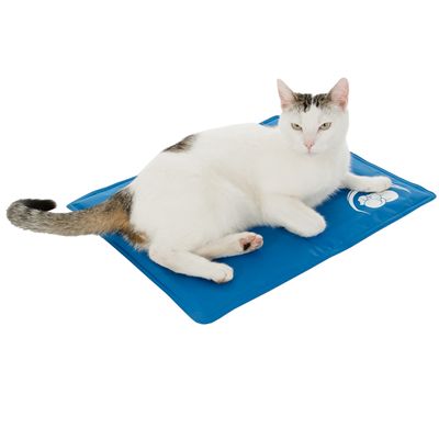 Tapis rafraîchissant pour chats et chiens