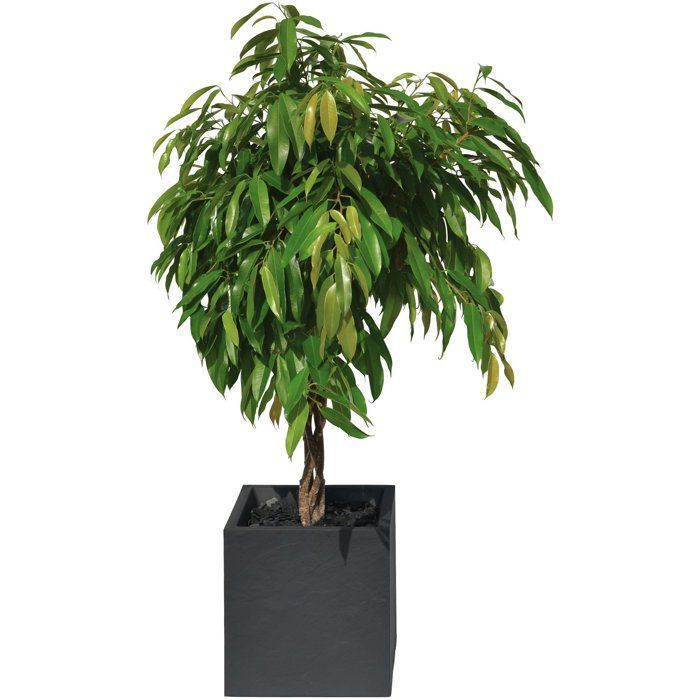 Quadratischer Blumentopf 40 cm – EDA – Volcania – 31 l – Für drinnen und draußen – Steindekor – 39,5 x 39,5 x 43,5 cm (H) – Anthrazitgrau