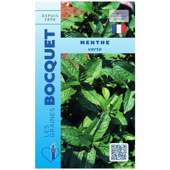 Semente - Hortelã-verde