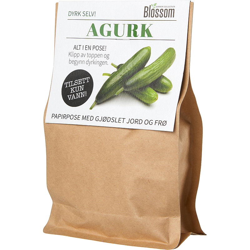Blomstpose Agurkfrø, Blomst