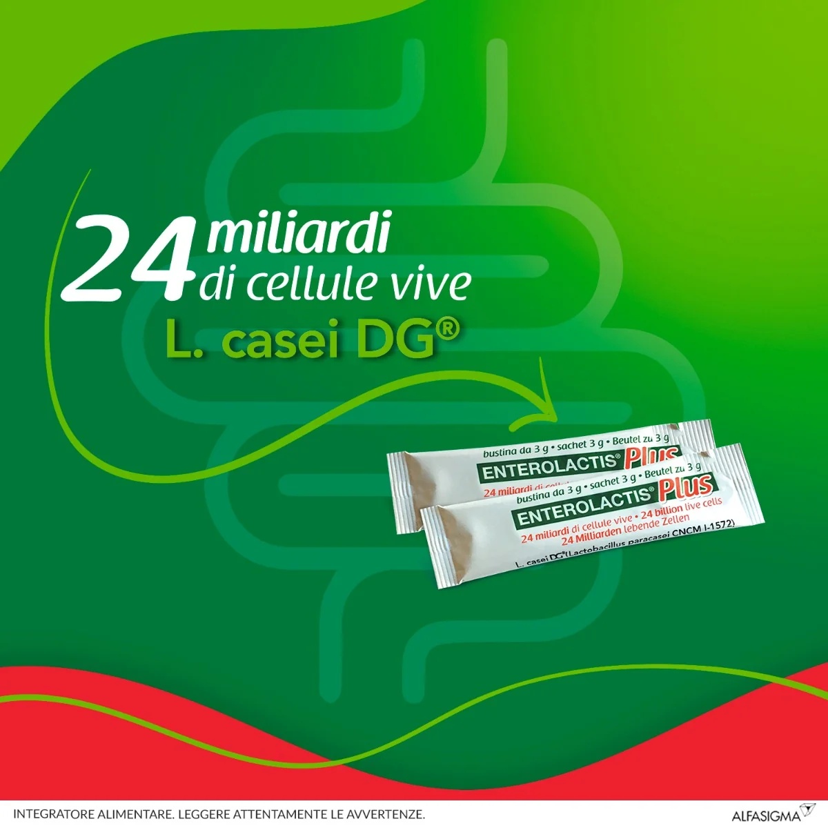 ENTEROLACTIS Enterolactis Plus 14 zakjes