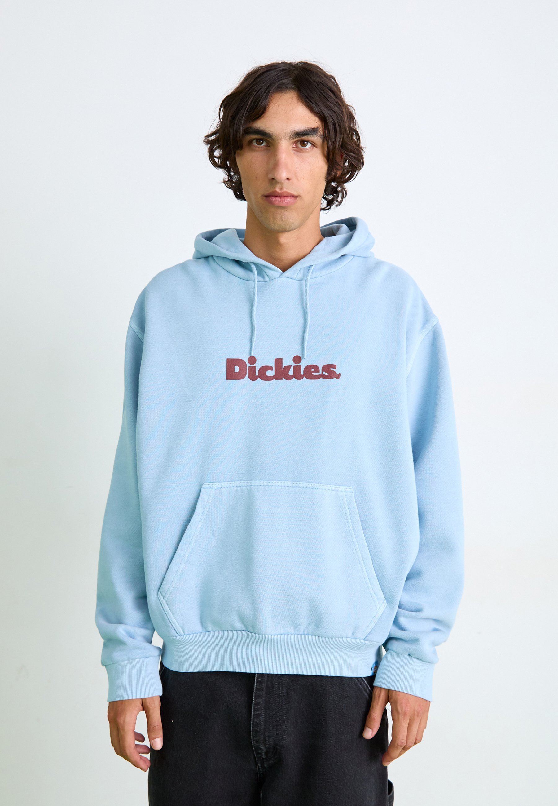 Dickies SLAYDEN HOODIE - Hanorac - glacier lake