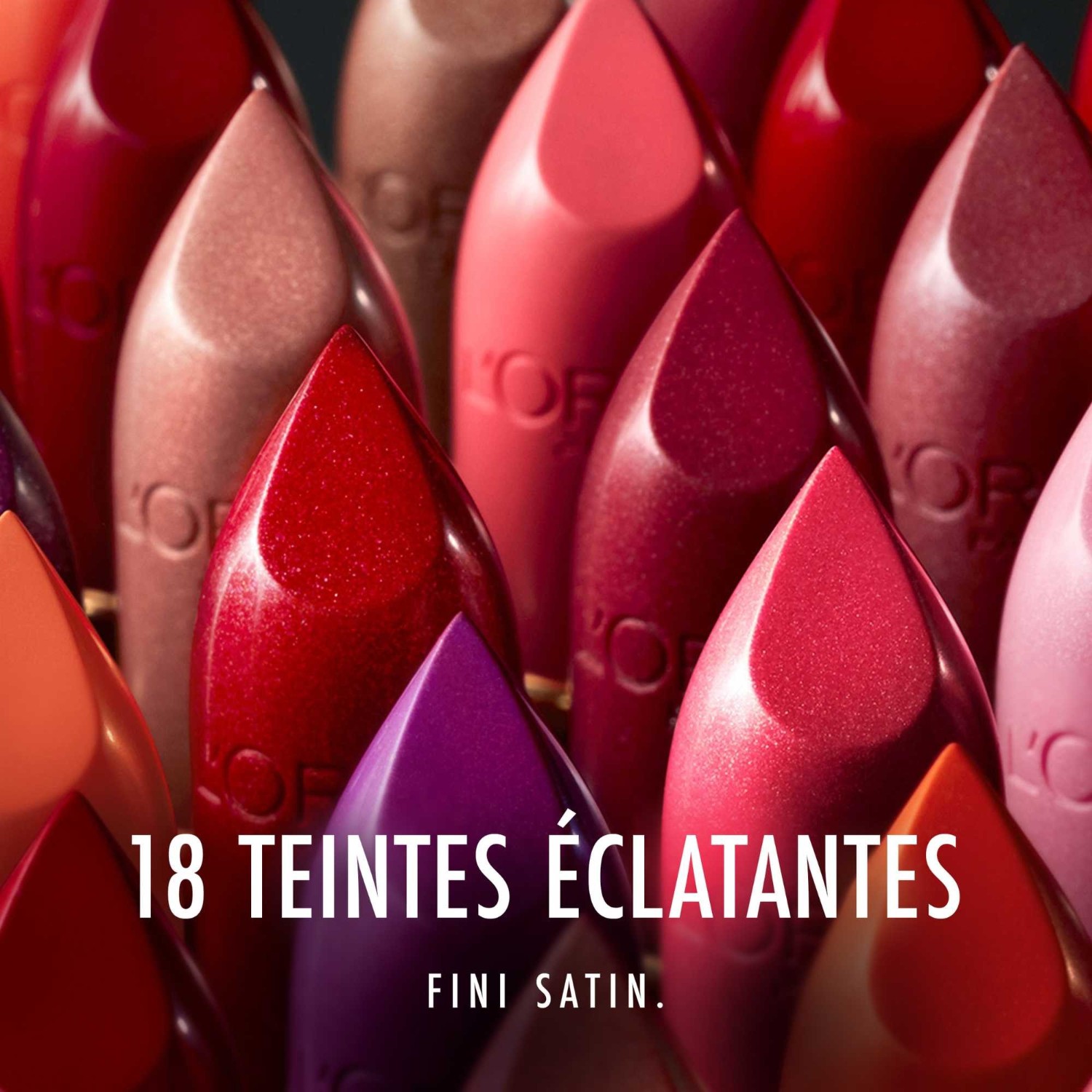 L’Oréal Paris Color Riche