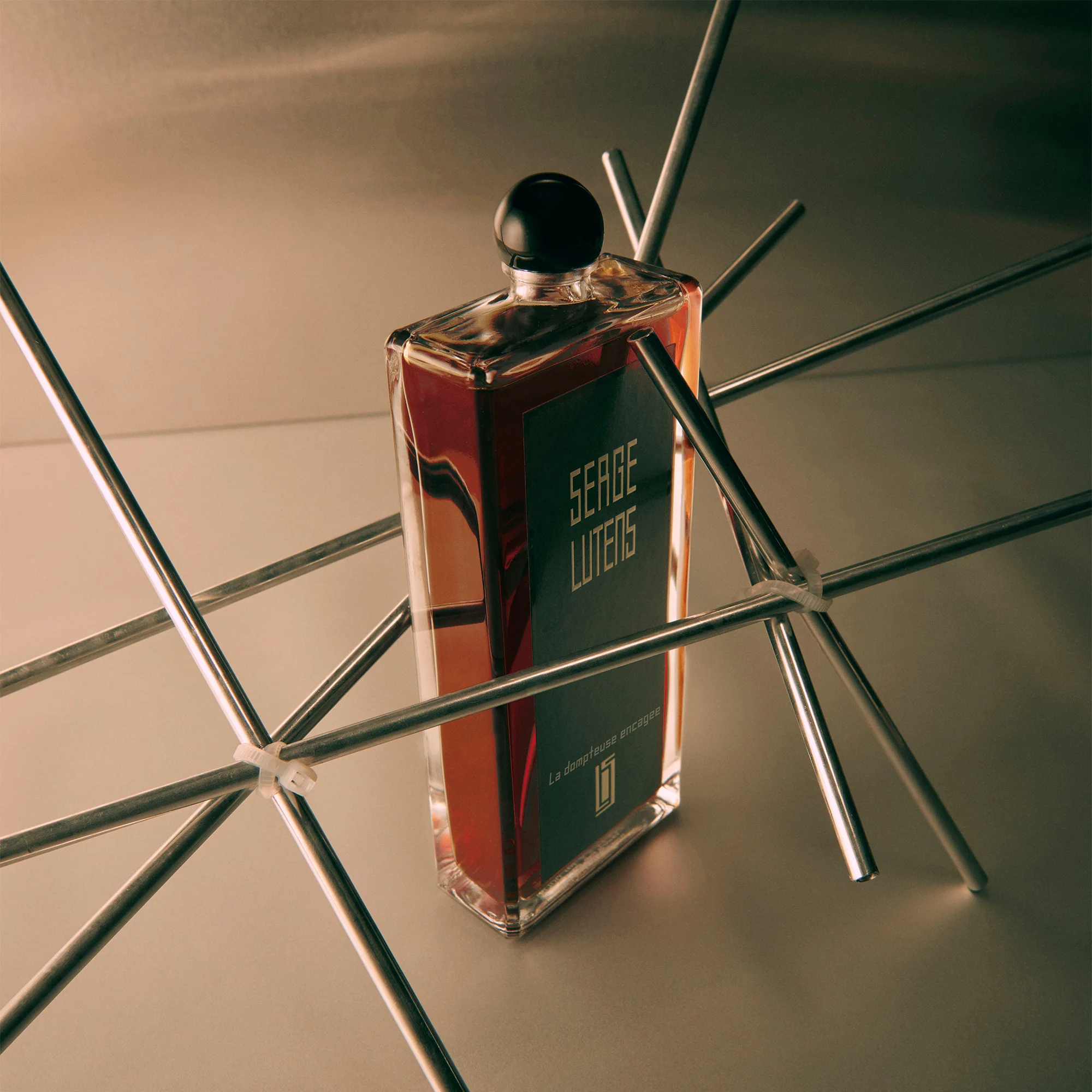Collection Noire La Dompteuse Encagée - Eau de Parfum, Eau de Parfum Unisex