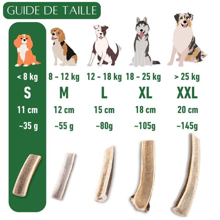 Cuerno de ciervo para que los perros lo mastiquen, en rodajas, tamaño S, premio para cachorros y perros de todas las edades, juguete para masticar, 1 pieza